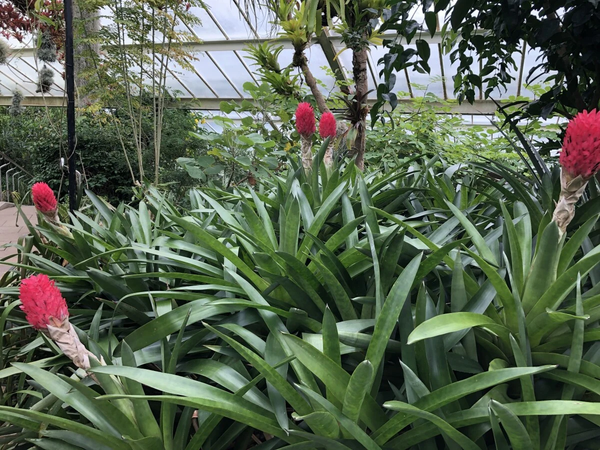 2025-London-Londen-伦敦